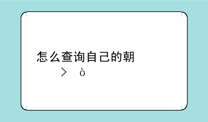 怎么查询自己的期货账号？